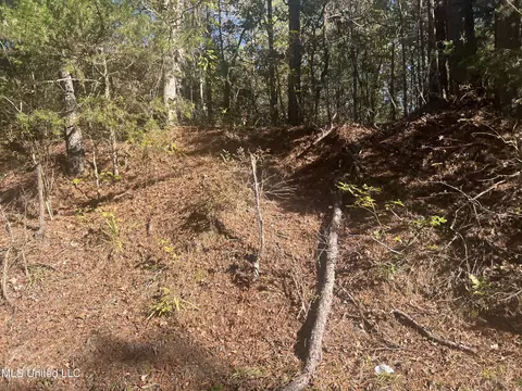 Long Branch Road, West, MS 39192 photo 4