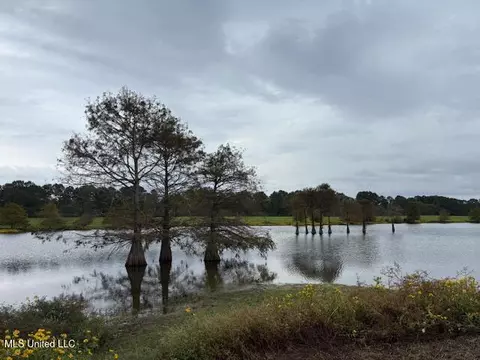 View/Area - 2100 Harperville Road Rd, Forest, MS 39074 photo 1 of 5