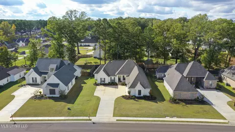 View/Area - 433 Crossvine Pl, Madison, MS 39110 photo 1 of 4