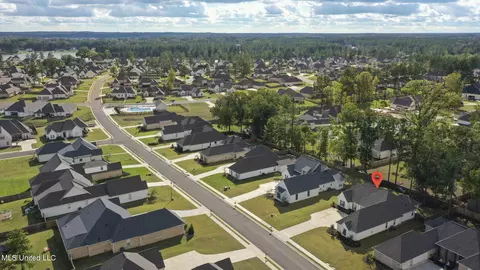 View/Area - 433 Crossvine Pl, Madison, MS 39110 photo 3 of 4