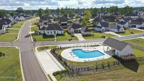View/Area - 433 Crossvine Pl, Madison, MS 39110 photo 4 of 4