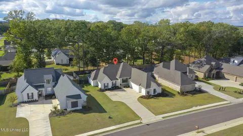 View/Area - 433 Crossvine Pl, Madison, MS 39110 photo 2 of 4