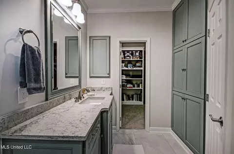 Bath - 154 Northwind Dr, Brandon, MS 39047 photo 3 of 5