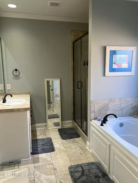 Bath - 137 Camden Xing, Madison, MS 39110 photo 1 of 2