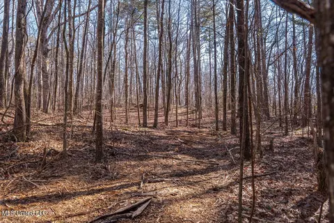 0 Green Door Rd, Eupora, MS 39744 photo 12