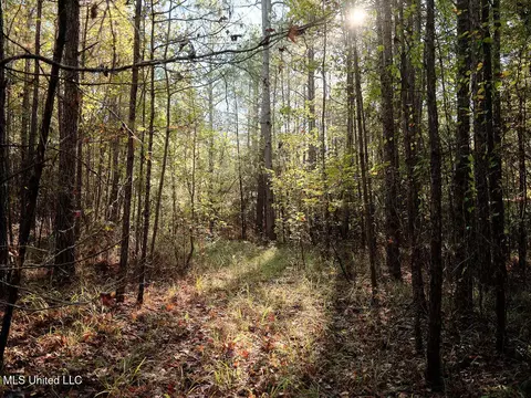 0 Green Door Rd, Eupora, MS 39744 photo 14