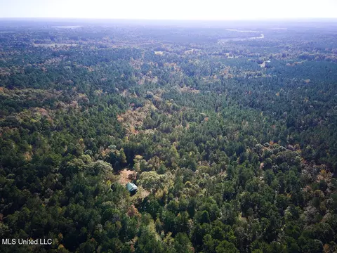0 Green Door Rd, Eupora, MS 39744 photo 8