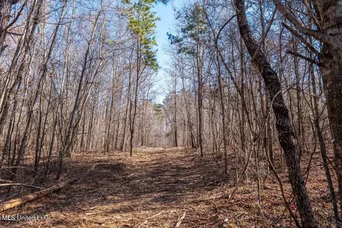 0 Green Door Rd, Eupora, MS 39744 photo 20