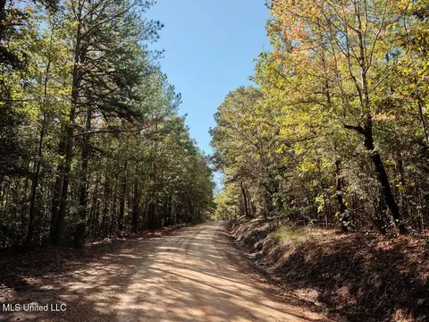 0 Green Door Rd, Eupora, MS 39744 photo 28