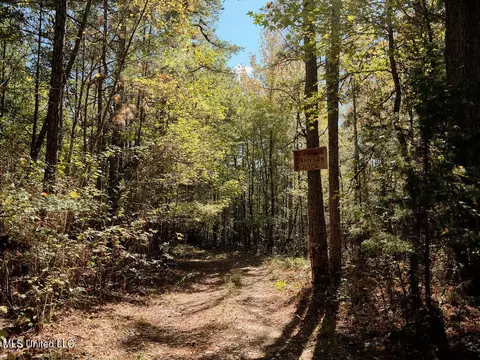 0 Green Door Rd, Eupora, MS 39744 photo 5