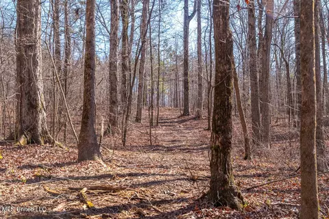 0 Green Door Rd, Eupora, MS 39744 photo 19