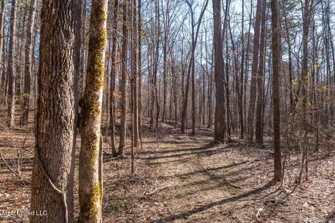 0 Green Door Rd, Eupora, MS 39744 photo 7