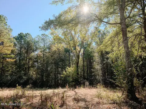 0 Green Door Rd, Eupora, MS 39744 photo 27