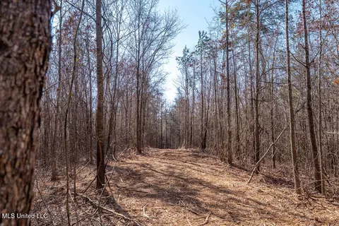 0 Green Door Rd, Eupora, MS 39744 photo 3
