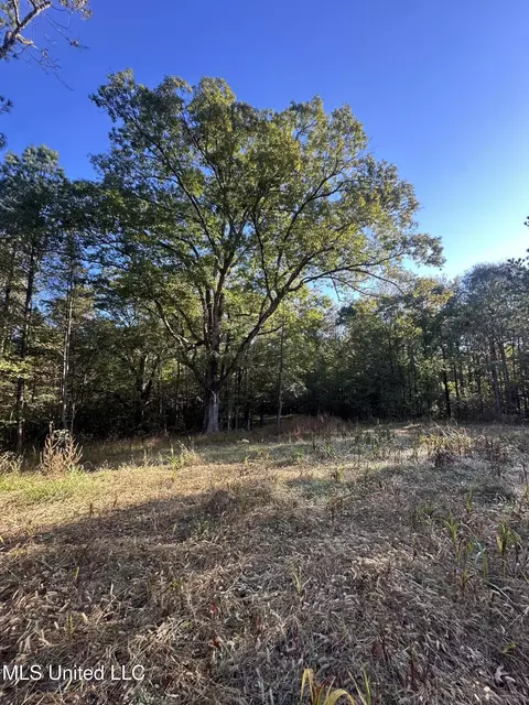 0 Green Door Rd, Eupora, MS 39744 photo 48