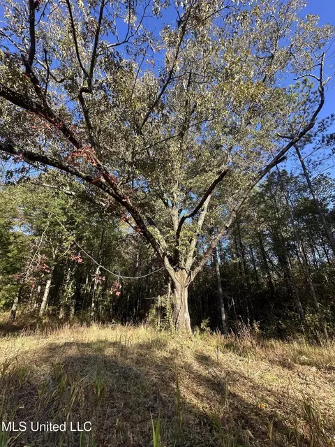 0 Green Door Rd, Eupora, MS 39744 photo 47