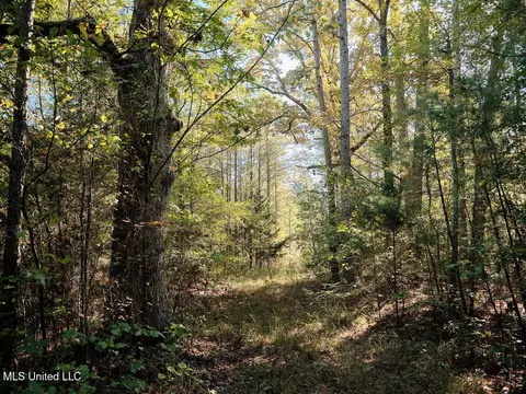 0 Green Door Rd, Eupora, MS 39744 photo 24