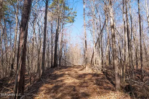 0 Green Door Rd, Eupora, MS 39744 photo 2