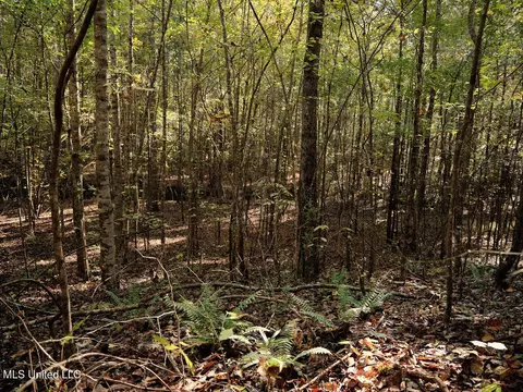 0 Green Door Rd, Eupora, MS 39744 photo 16