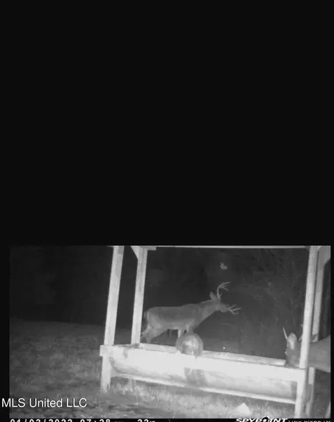 0 Green Door Rd, Eupora, MS 39744 photo 45