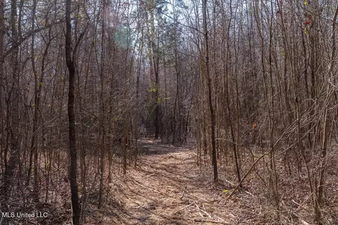 0 Green Door Rd, Eupora, MS 39744 photo 4
