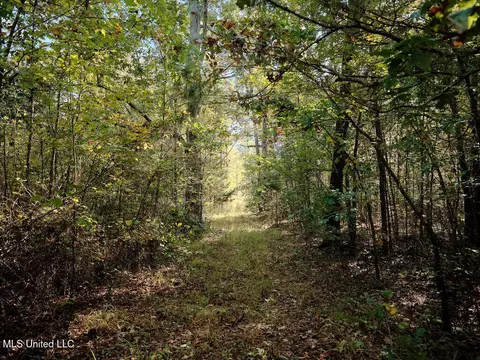 0 Green Door Rd, Eupora, MS 39744 photo 23