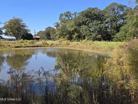 View/Area - 13165 Highway 613, Lucedale, MS 39452 photo 3 of 3