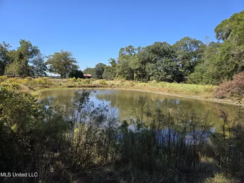View/Area - 13165 Highway 613, Lucedale, MS 39452 photo 1 of 3