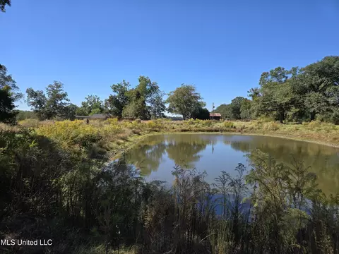 View/Area - 13165 Highway 613, Lucedale, MS 39452 photo 2 of 3