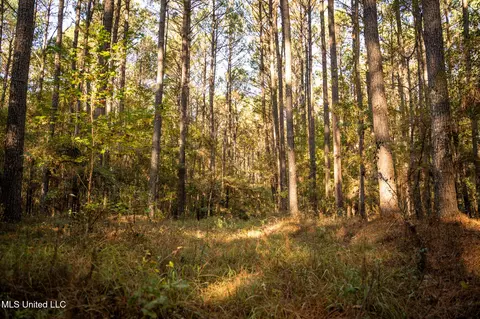 Ms-503, Rose Hill, MS 39356 photo 35