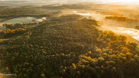 Ms-503, Rose Hill, MS 39356 photo 10