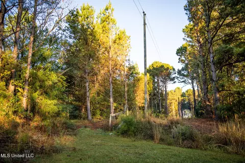 Ms-503, Rose Hill, MS 39356 photo 26