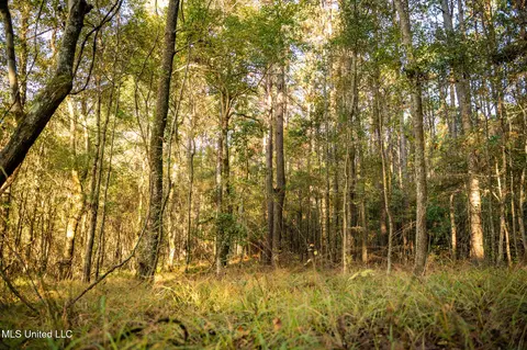 Ms-503, Rose Hill, MS 39356 photo 33