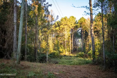 Ms-503, Rose Hill, MS 39356 photo 29