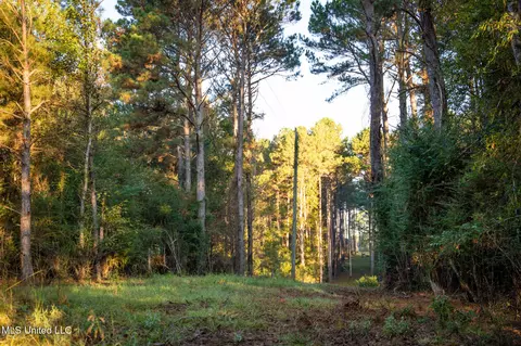 Ms-503, Rose Hill, MS 39356 photo 28