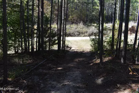 6400 Tate Marshall Rd, Coldwater, MS 38618 photo 15