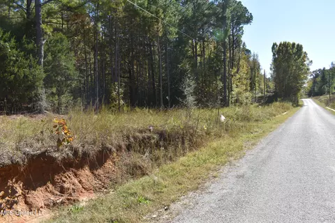 6400 Tate Marshall Rd, Coldwater, MS 38618 photo 3