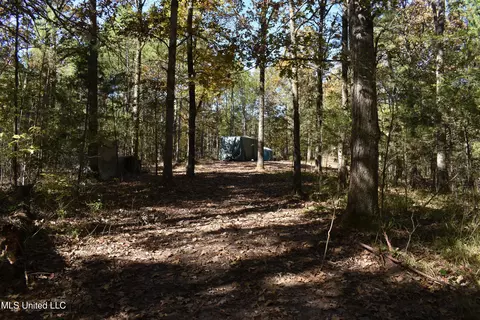 6400 Tate Marshall Rd, Coldwater, MS 38618 photo 10
