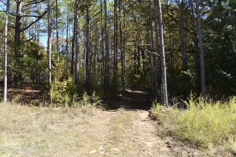 6400 Tate Marshall Rd, Coldwater, MS 38618 photo 4
