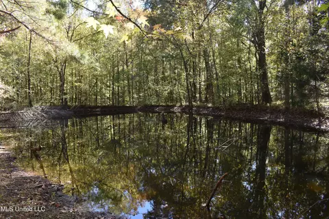 6400 Tate Marshall Rd, Coldwater, MS 38618 photo 8