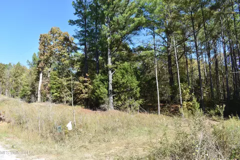 6400 Tate Marshall Rd, Coldwater, MS 38618 photo 16