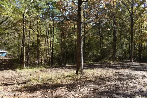 6400 Tate Marshall Rd, Coldwater, MS 38618 photo 6
