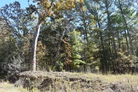 6400 Tate Marshall Rd, Coldwater, MS 38618 photo 2