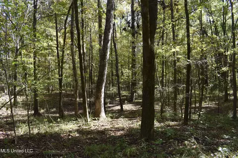 6400 Tate Marshall Rd, Coldwater, MS 38618 photo 12