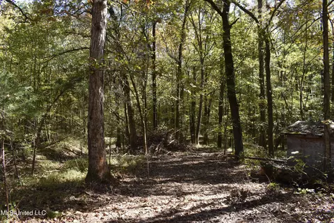 6400 Tate Marshall Rd, Coldwater, MS 38618 photo 9