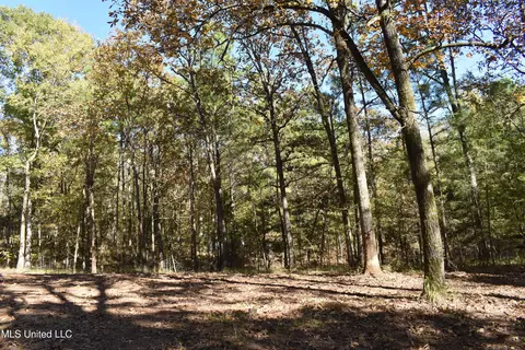 6400 Tate Marshall Rd, Coldwater, MS 38618