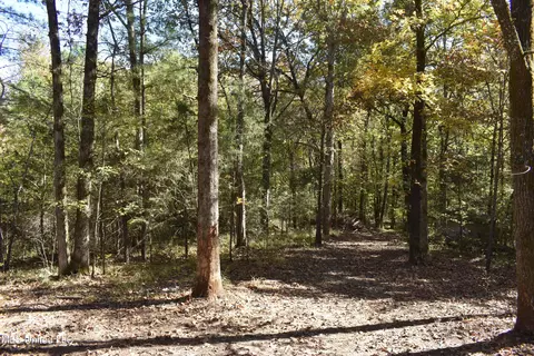 6400 Tate Marshall Rd, Coldwater, MS 38618 photo 5