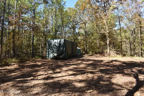 6400 Tate Marshall Rd, Coldwater, MS 38618 photo 13