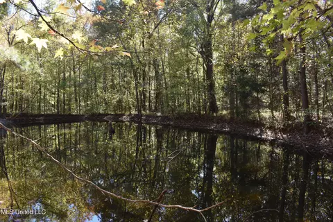 6400 Tate Marshall Rd, Coldwater, MS 38618 photo 7