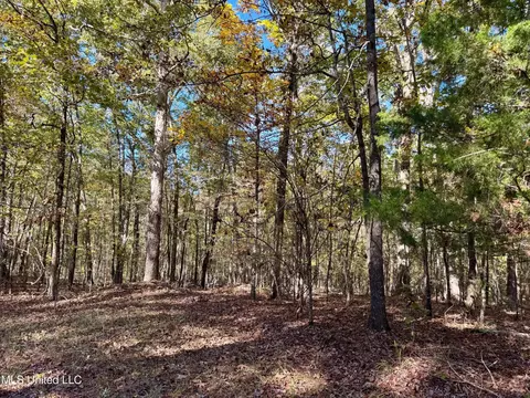 1218 Ms 9, Calhoun City, MS 38916